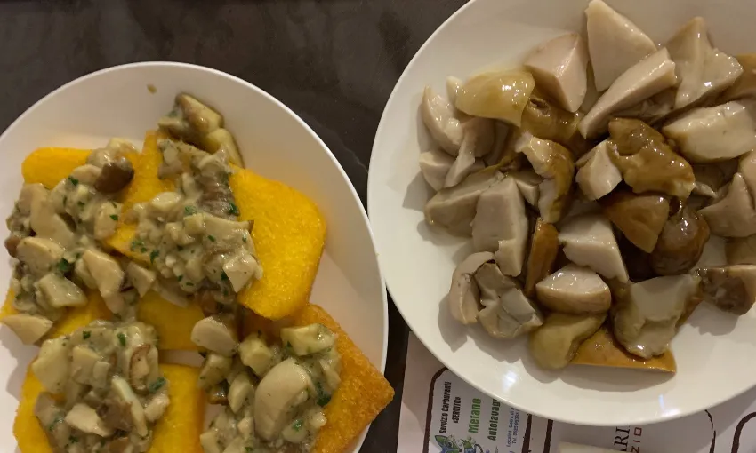 Funghi porcini con olio e polenta