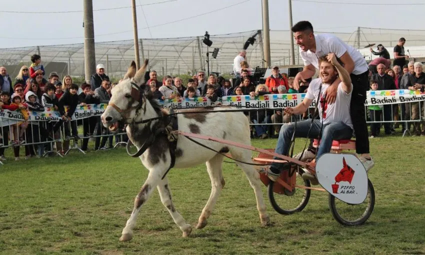 Corsa dei Somari della Sagra della Campagna di Pieve Cesato