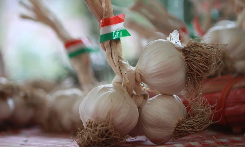 Aglio della Fiera di Monticelli d\'Ongina