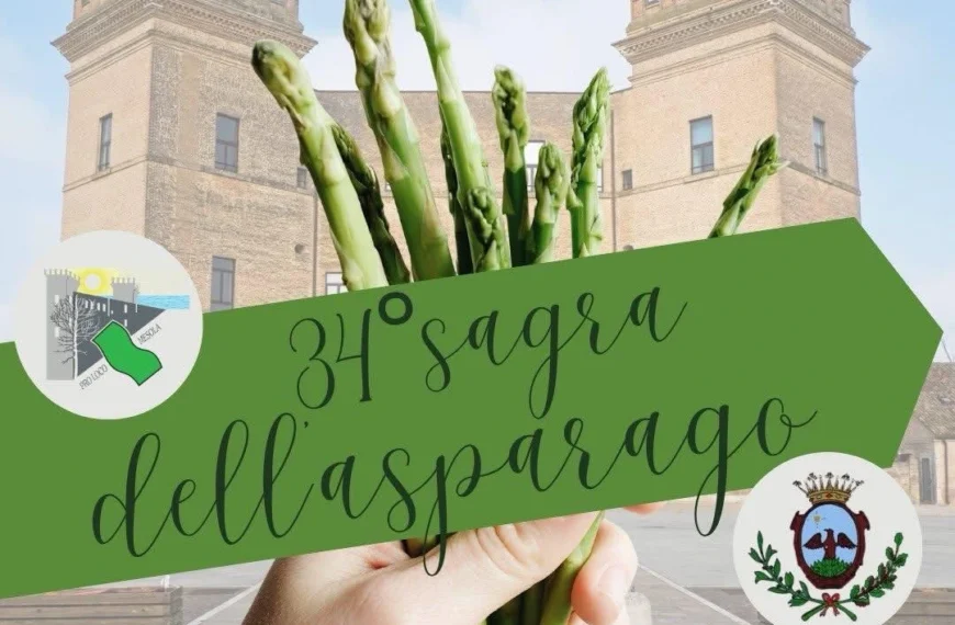 651005677_1468305971750309_4361355715112532613_n