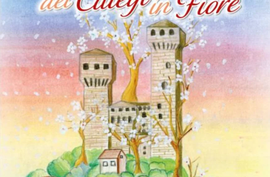 Progetto-senza-titolo-29