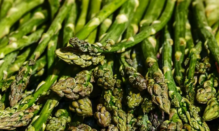 asparagi