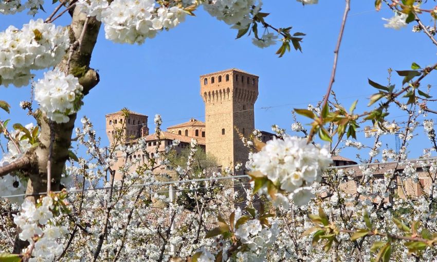 Vignola