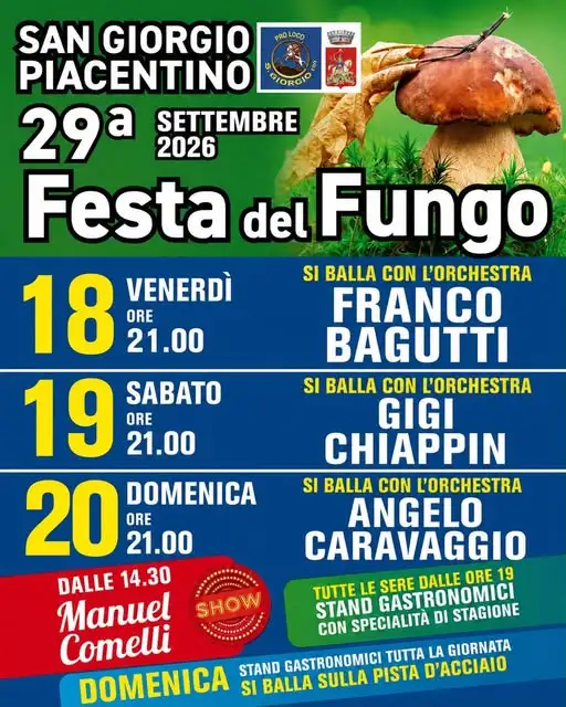 Festa del Fungo