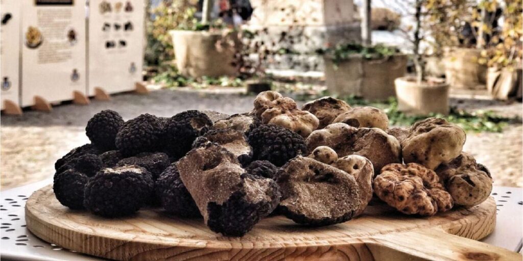 tartufo