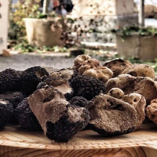 Tartófla 2026 a Savigno: otto giornate dedicate al tartufo bianco