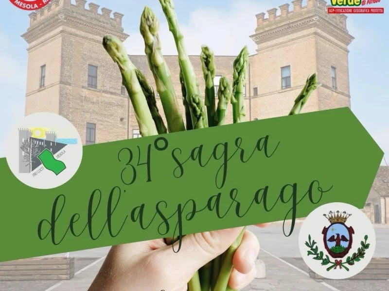 651005677_1468305971750309_4361355715112532613_n